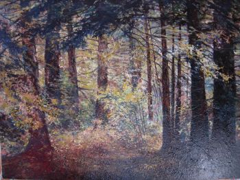 Deep in the Forest
