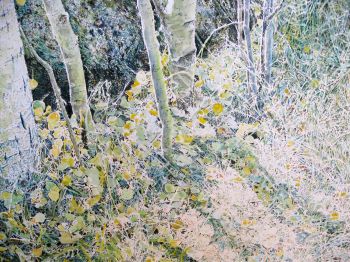 Aspens